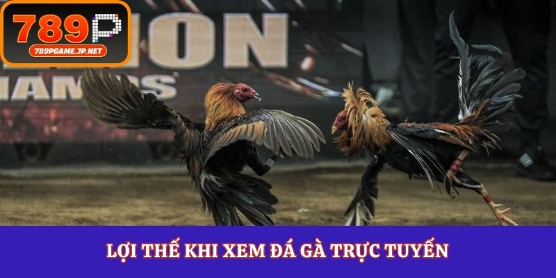Lợi thế khi xem đá gà trực tuyến