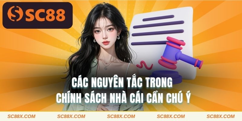 Các nguyên tắc trong chính sách nhà cái cần chú ý 